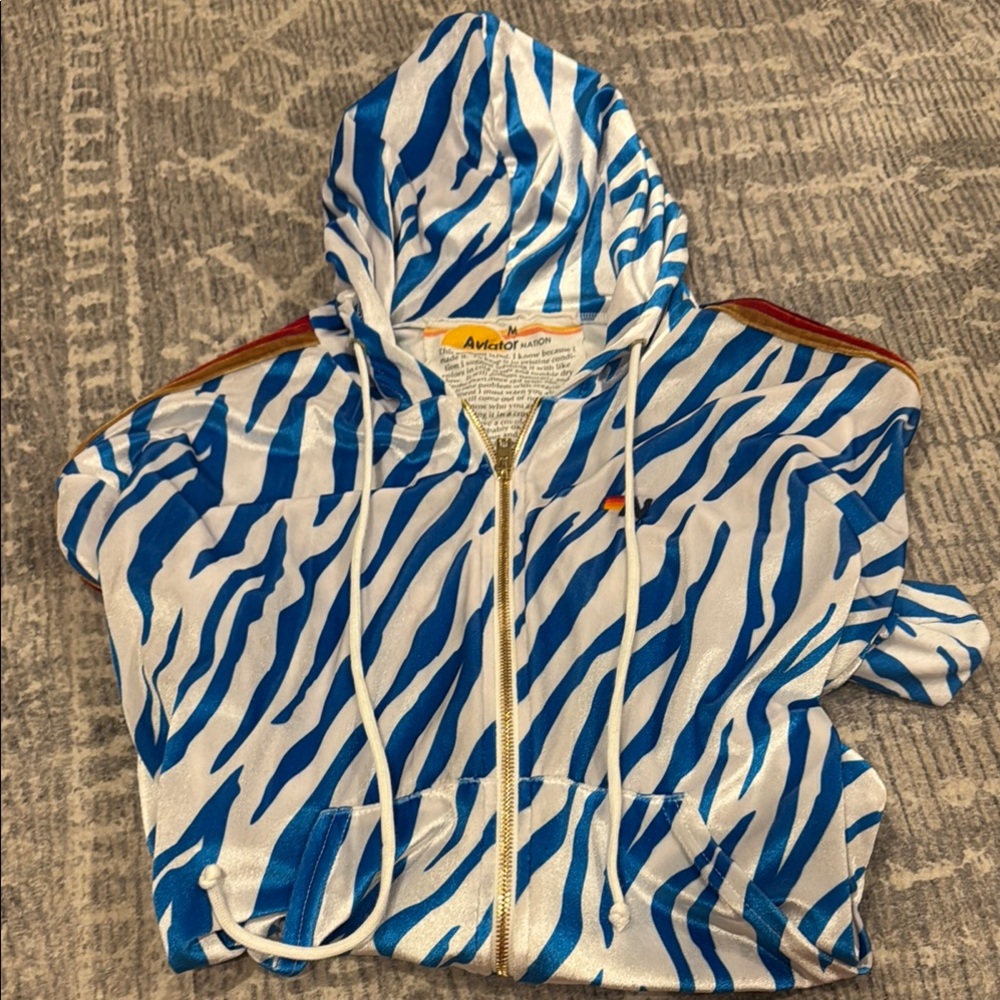 Aviator Nation Zebra Stripe Hoodie in Blue and White